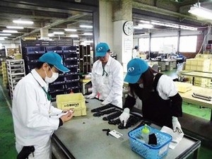 現場作業検証の実施